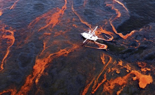 Oil Spill photo by Gay, AP May 28, 2010